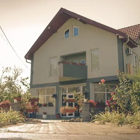 Cochet Casa de hóspedes Timişoara